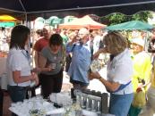 Święto Wody 2008 w Kielcach, rozmiar: 307 KB