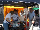 Święto Wody 2008 w Kielcach, rozmiar: 295 KB