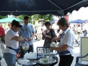 Święto Wody 2008 w Kielcach, rozmiar: 293 KB