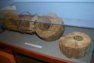 Otwarcie wystawy, rozmiar: 544 KB