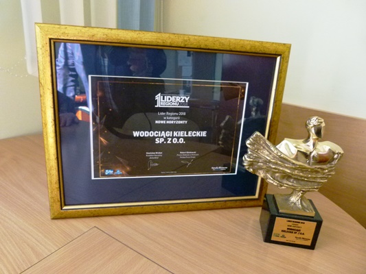 Liderzy-Regionu-1mar19%20%284%29