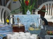 Światowy Dzień Wody 2010 w Kielcach, rozmiar: 369 KB