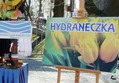 Wodociągowa czarownica ma imię. Hydraneczka